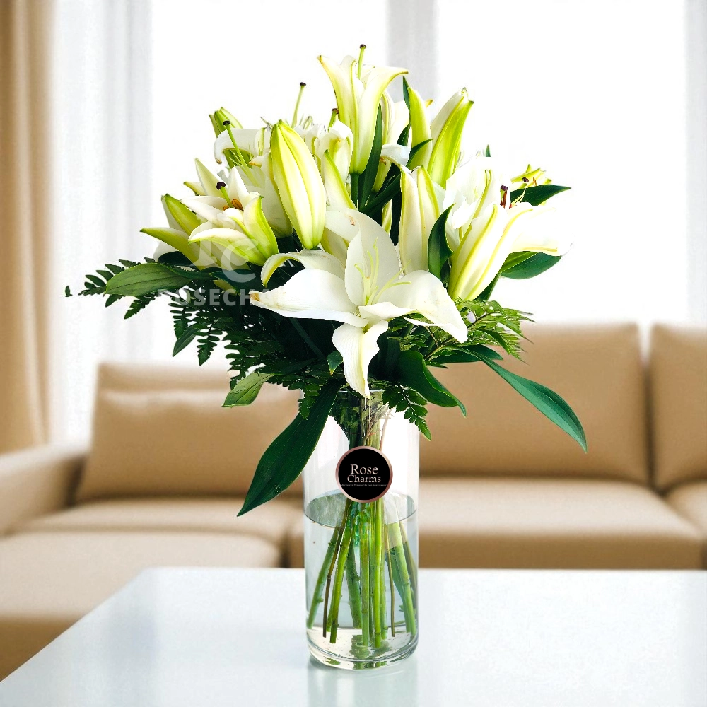 JVG28Hch6i0XvtBXvroERZWTQDiaF0qsI50jpaMy