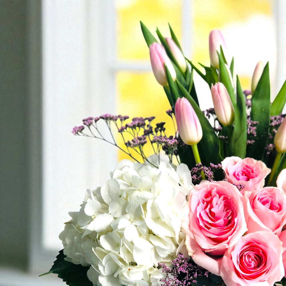 mi19jLM4uAaUXjZ1tTrvyo9pvLQHdyVn7B5LYopP