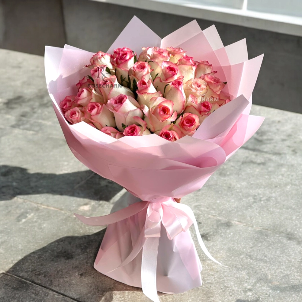 50 Double Color Pink Rose