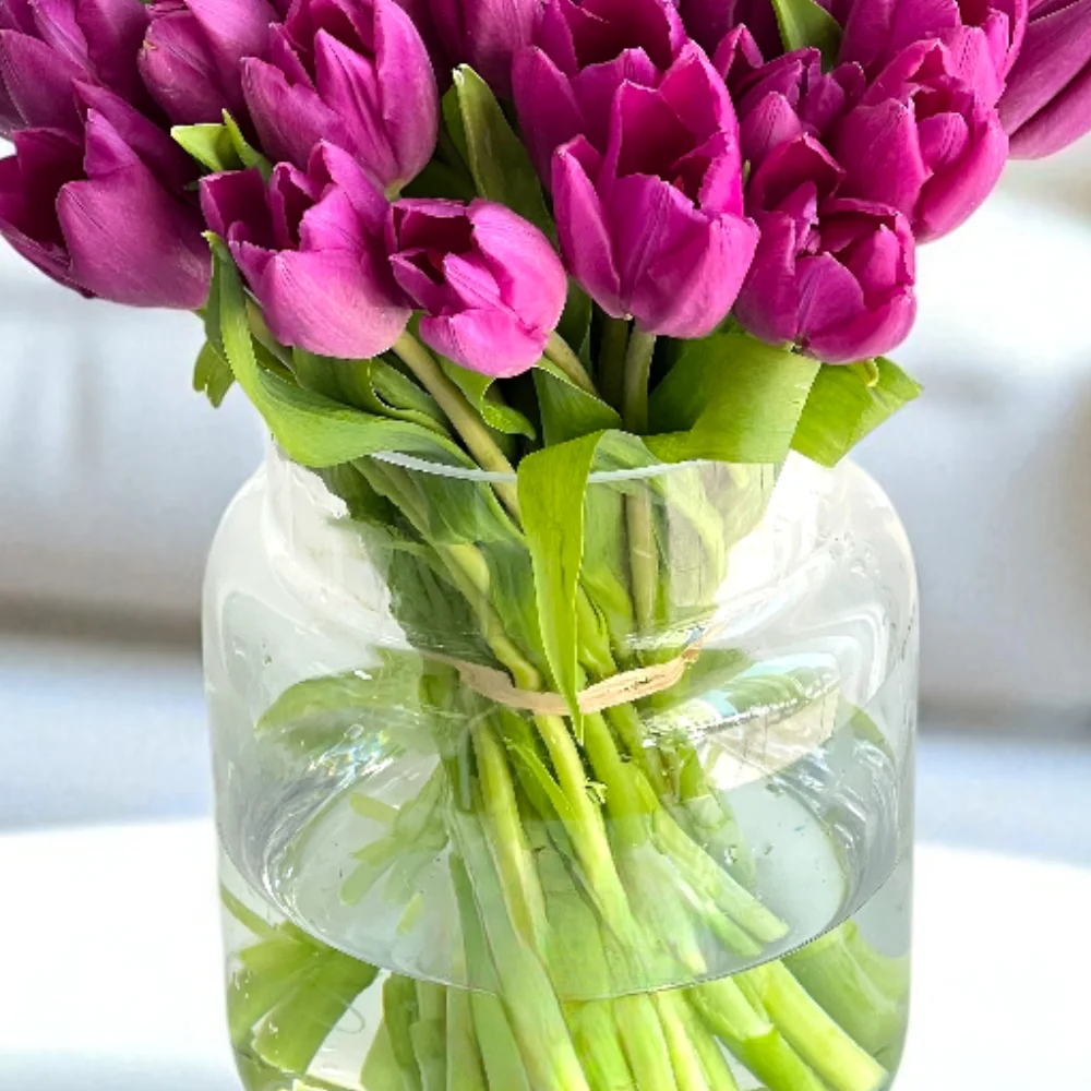 7y7F2E3fe78KFiZmJHkOVJIekJi3Ob9LSIymTEo5