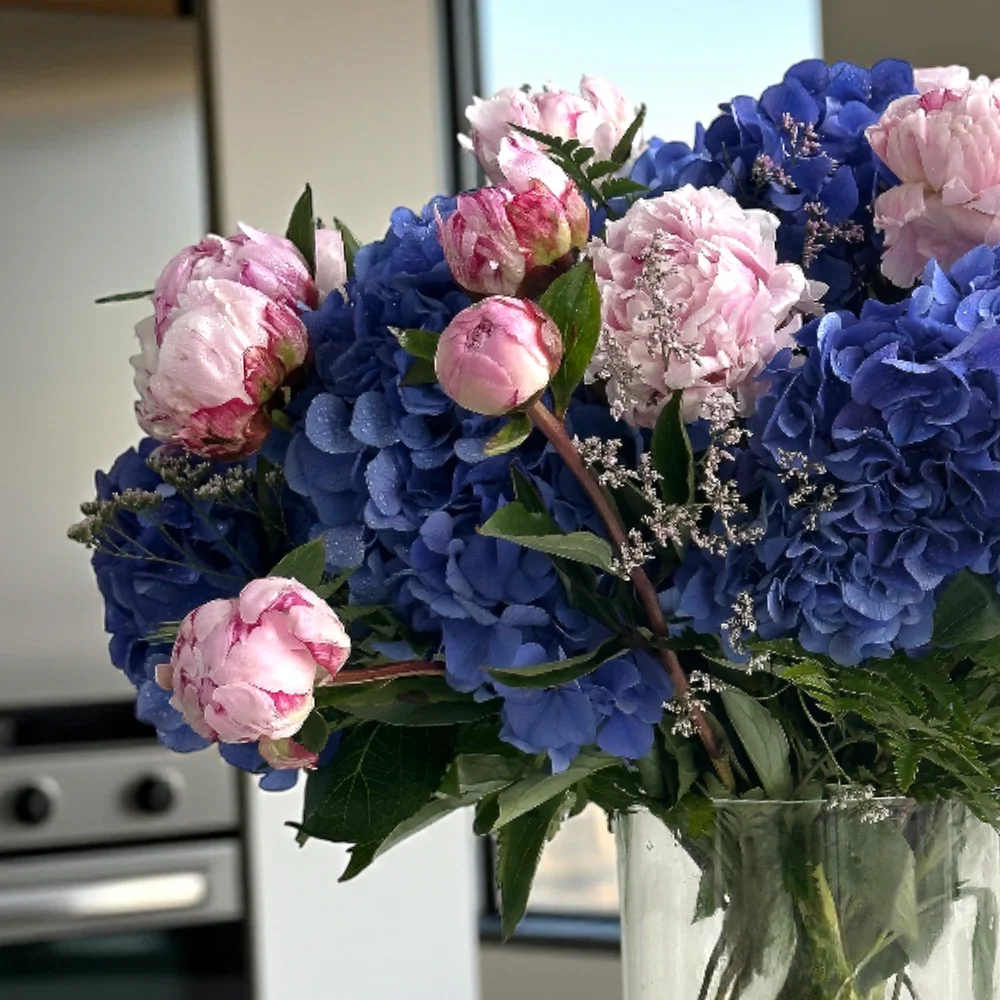 Gcuoekmv3ZVF7HX1Cm5tKrLXPxDLQhAzyBRjY6l6