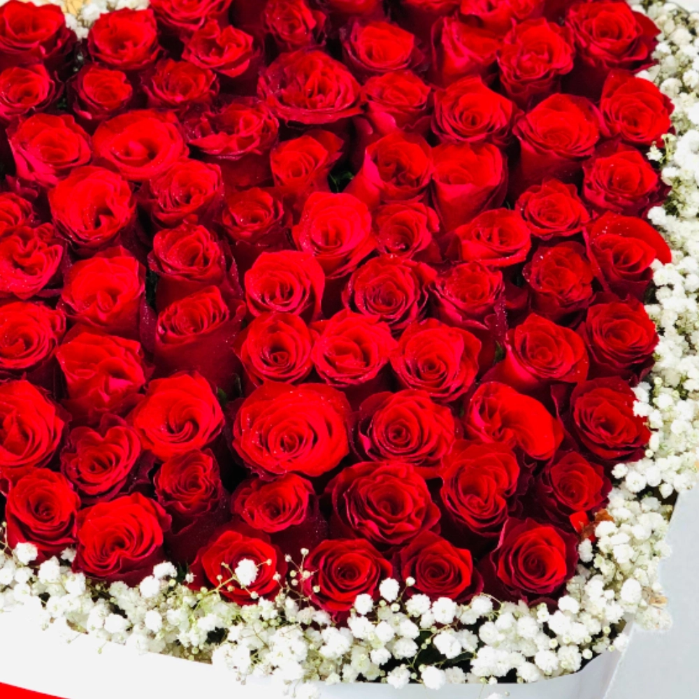 KXeIbcVRMqiCGvCgSjr219ZvGnO9JbfOJY0XvoKr