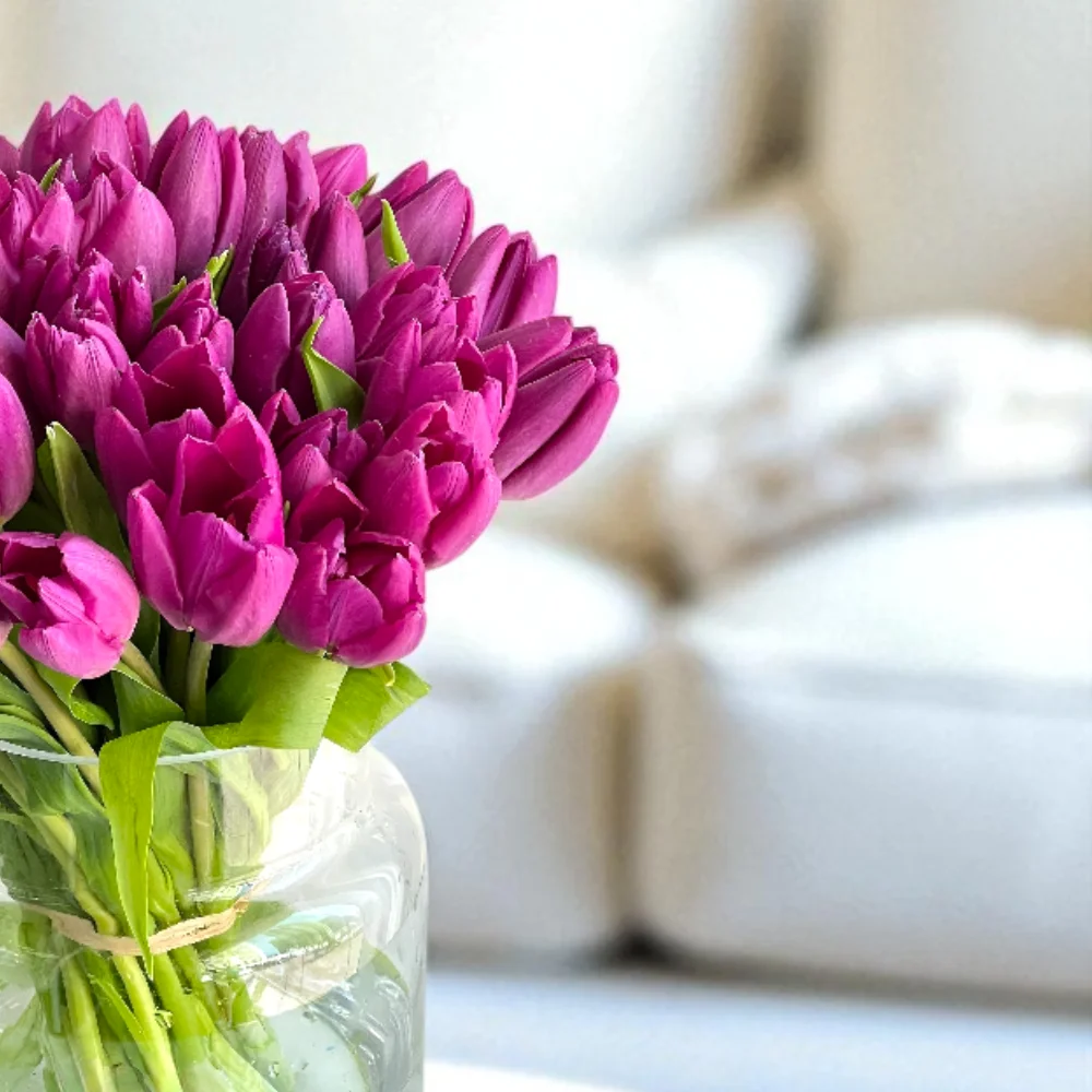 b8pxVaIdgyjfLZXMO98PzNvn7rWe2YF6HXt4Ogik