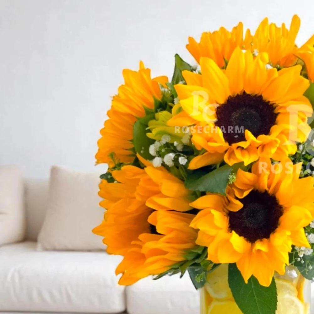 bGRidCXhxMiigmZzg3tLtAViF958s9cW6Durfeaz