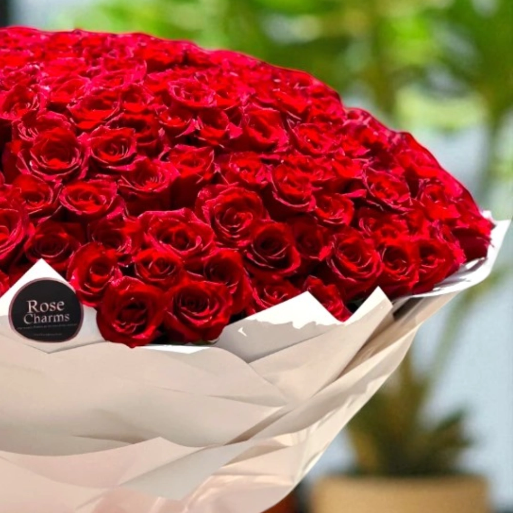 hVZqU2vzZzd28mUG9MLmBA3oZ4m2Ar8pDuSt4gdA