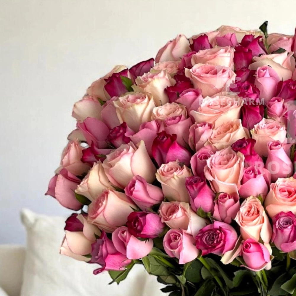 ijb2xFpneOuqThYZF8MIkU4JQQBVuQpVprjIT0my