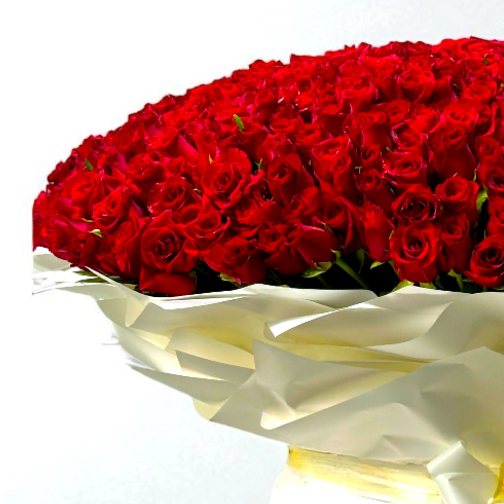 yJLHG14VAZRsd8P0R5tDbya1t5uNQgeEJxwOPBzJ