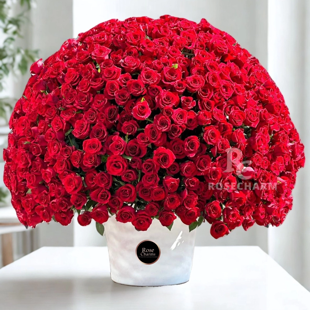 500 Red Rose Arrangement
