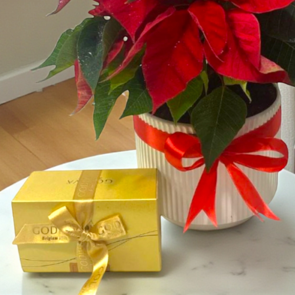 Christmas Red Poinsettia With Godiva