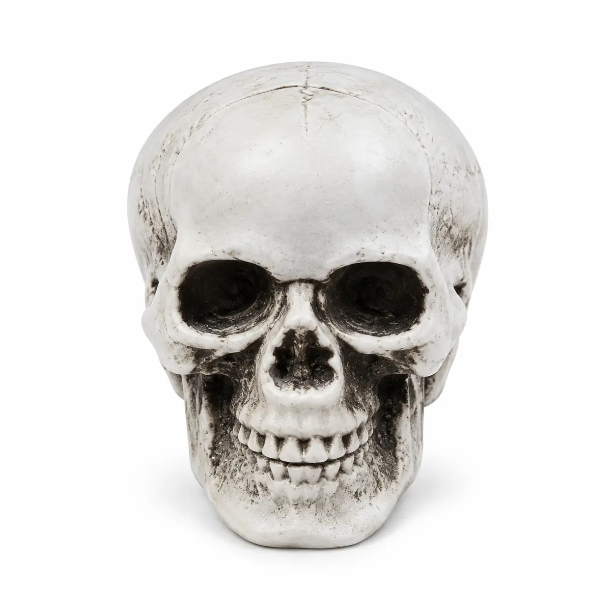 Mini Decorative Skull for Halloween displays, a detailed skull measuring 4.5 cm wide and 6 cm high