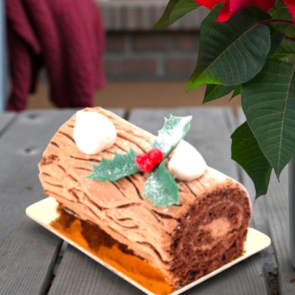 Christmas Log Pastry With Plant