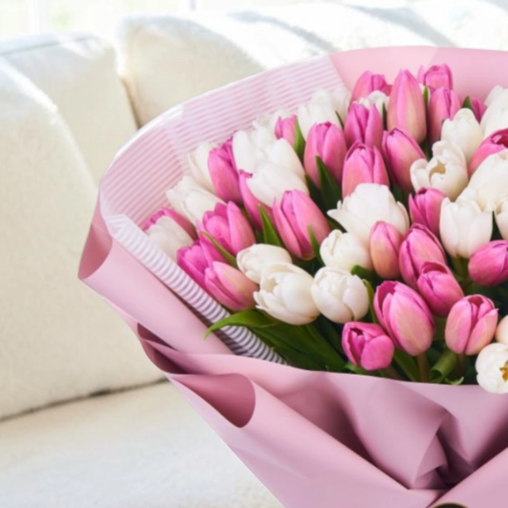 100 pink and white tulips