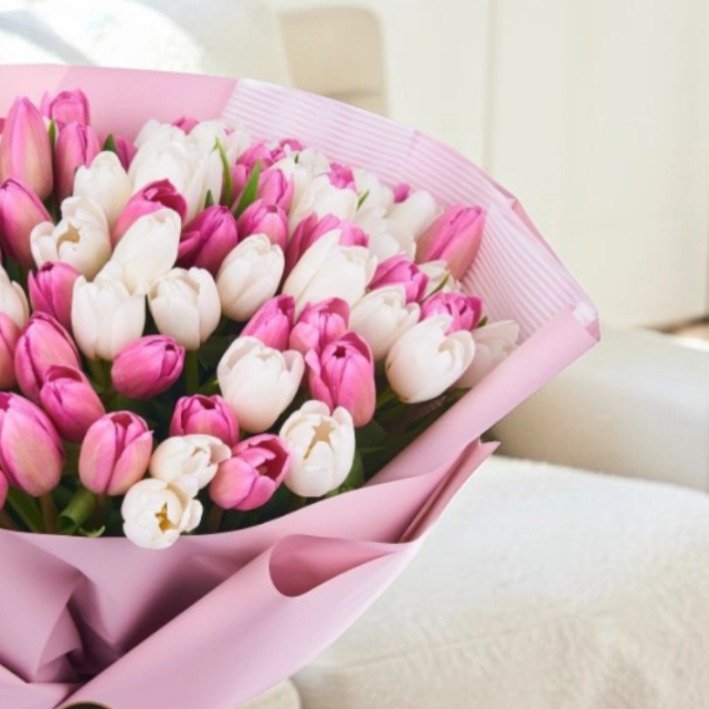 100 pink and white tulips