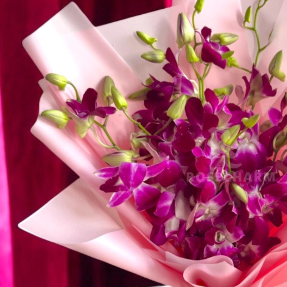Bouquet of pink dendrobium orchids