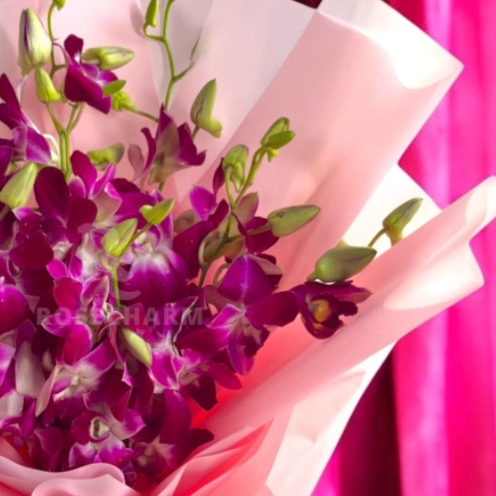 Bouquet of pink dendrobium orchids