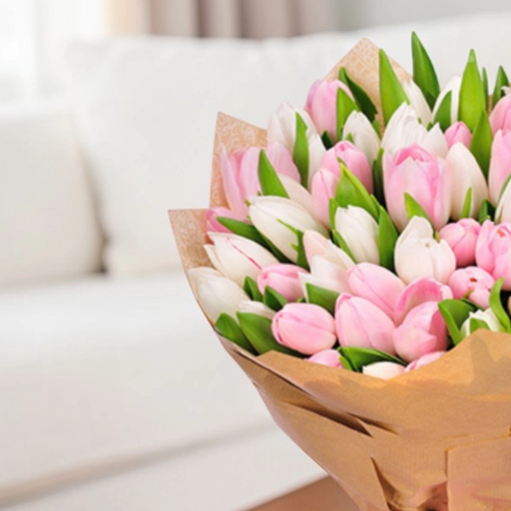 25 white and pink tulips
