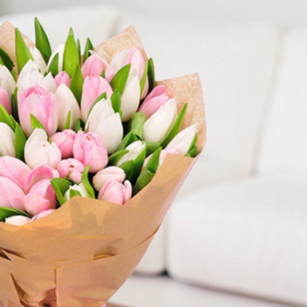 25 white and pink tulips