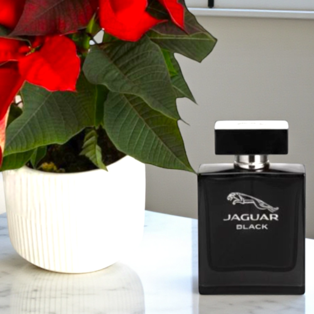 Poinsettia and Perfume Christmas Combo