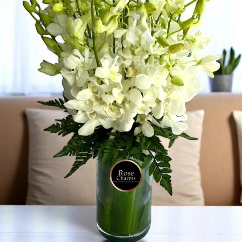 white orchids in a glass vase