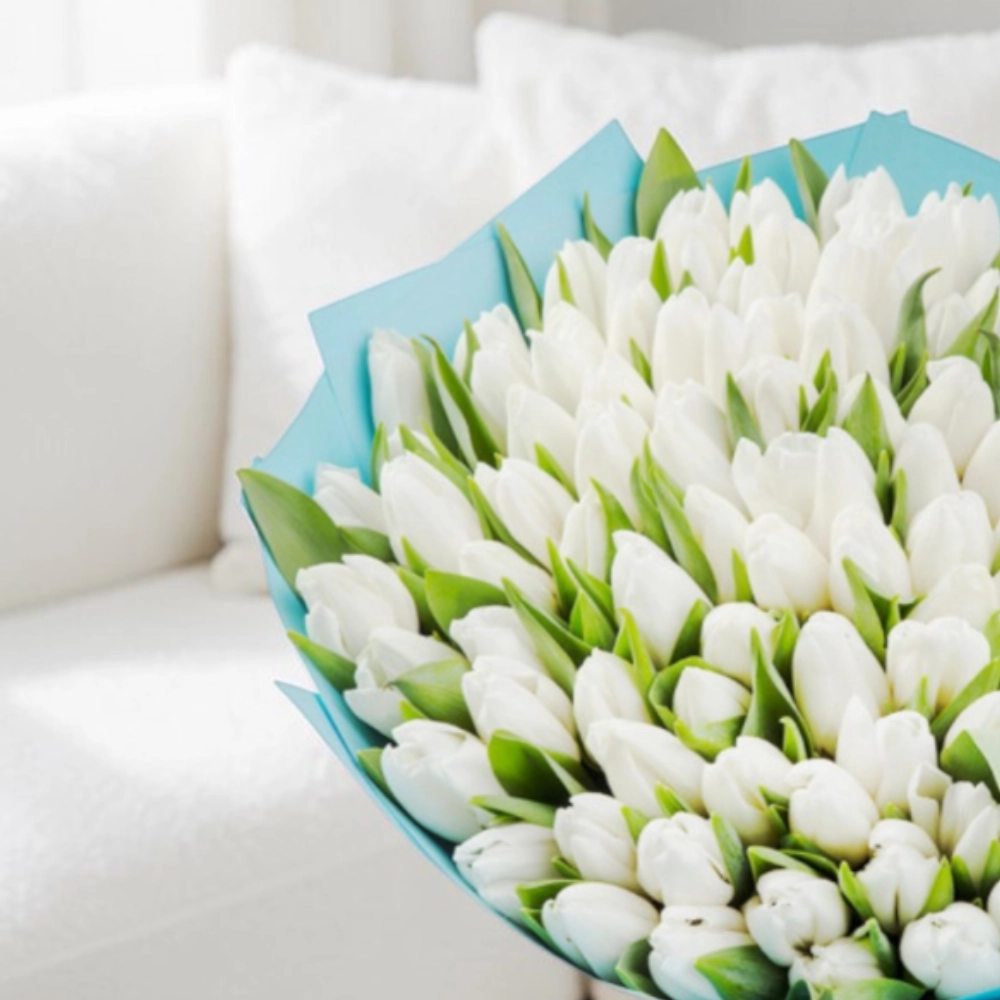 100 white tulips bouquet