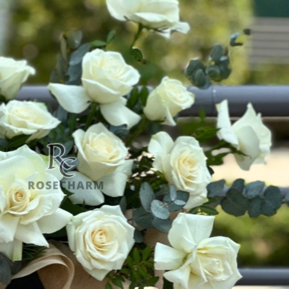 Arrangement of white roses and chocolates in a box